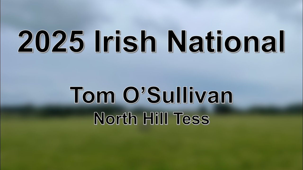 Tom O'Sullivan - North Hill Tess - 2025 Irish National Sheep Dog Trial