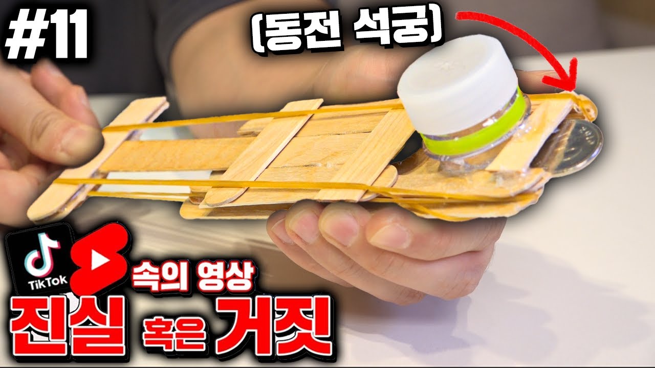 SNS 영상 진실? 거짓? 11탄! (이젠 다 진짜인가..?)