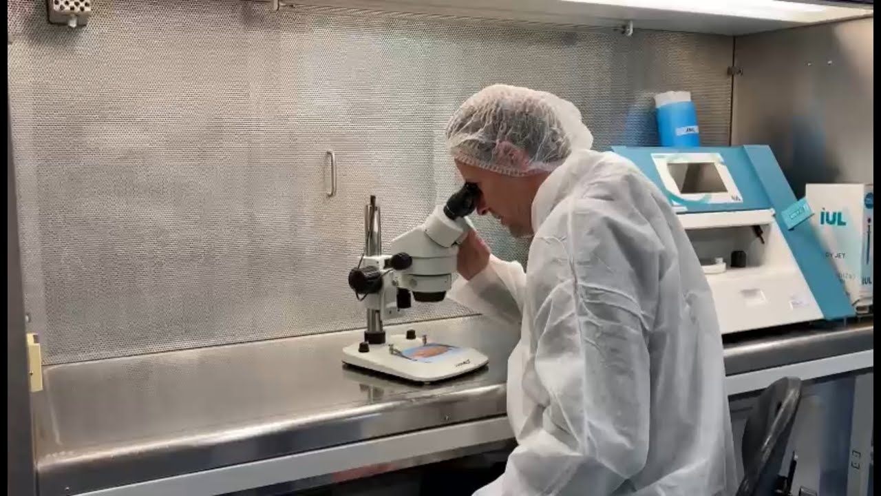 Manger - Un miracle (video oficial)