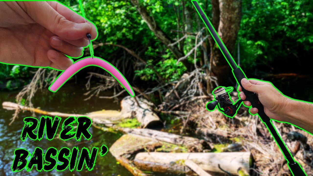 SHALLOW RIVER Is LOADED With AGGRESSIVE BASS!!! || Summer Bass Fishing