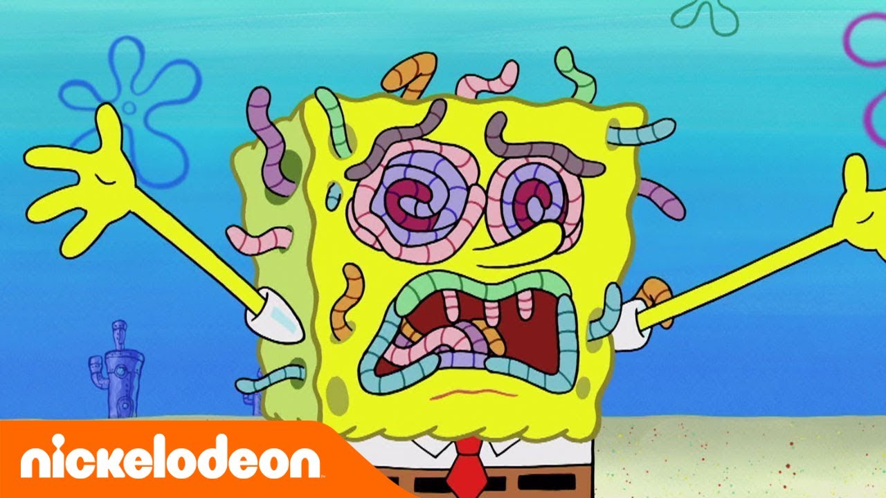 Bob l'éponge | Assaut d'asticot | Nickelodeon France