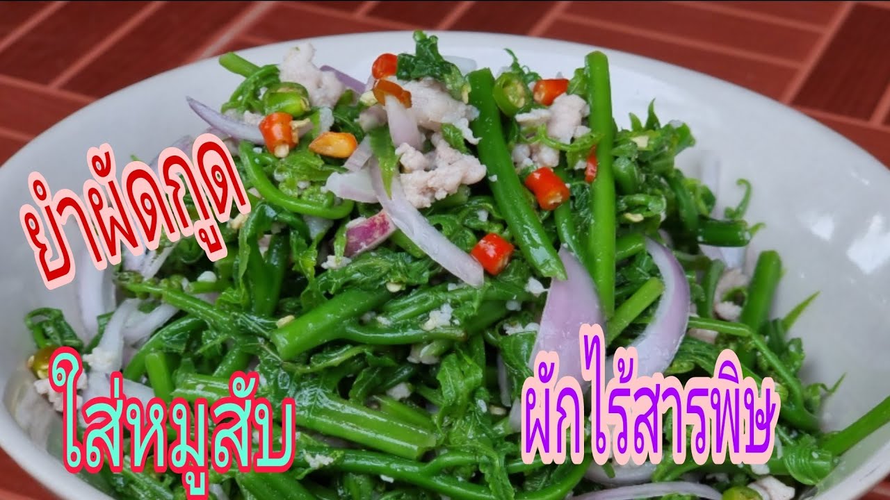 ยำผักกูดใส่หมูสับ ผักบ้านๆปลอดสารพิษ/ป้าทัยjapan