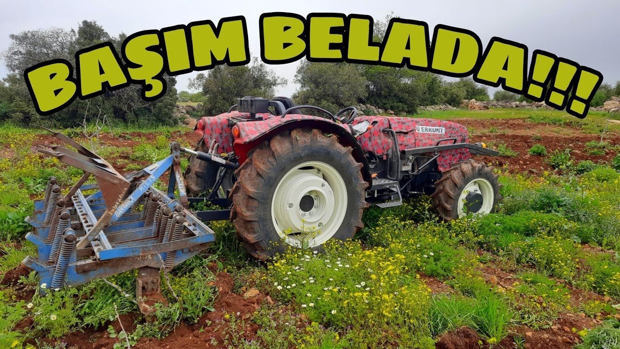 UYGUN VİTESİ BULDUM,BARANLAMA,MALLARI OT BASMIŞ ZORLA SÜRDÜM...