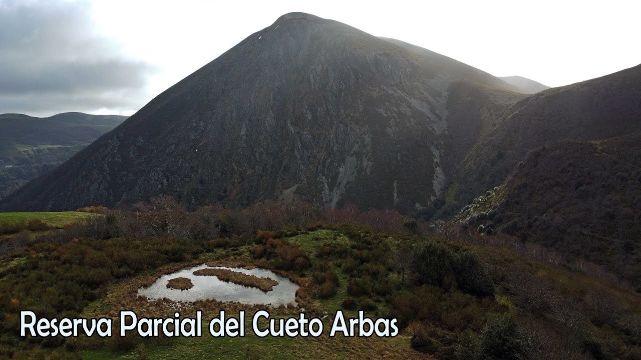 Reserva Parcial del Cueto Arbas / Cangas del Narcea.
