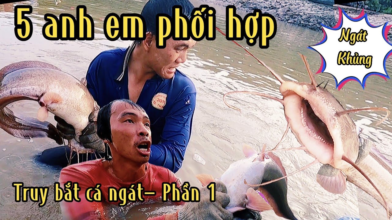 Năm Anh Em Phối Hợp Truy L&ugrave;n B&agrave;y C&aacute; Ng&aacute;t Khủng (Phần 1)/Đạt Nguyễn Cần Giờ
