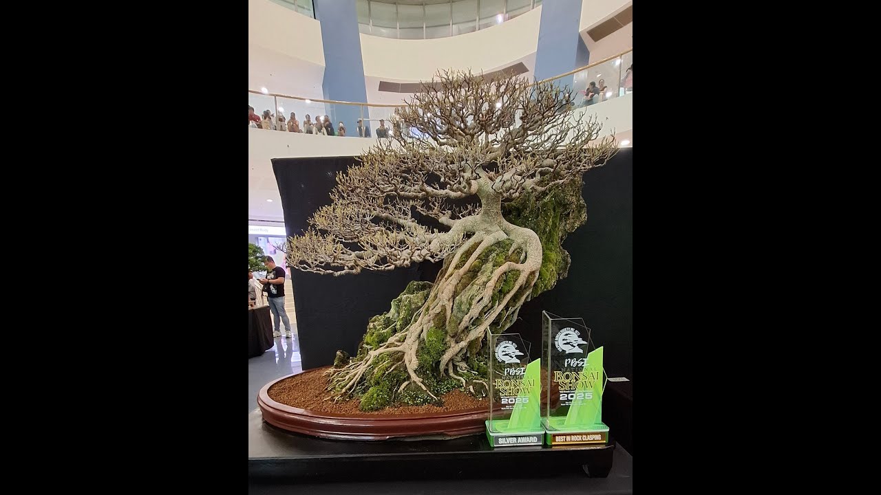 National Bonsai Show 2025 - Philippine Bonsai Society Inc.