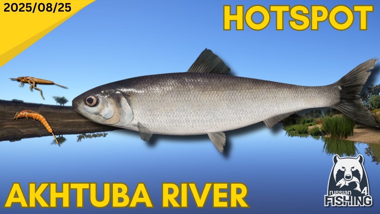Akhtuba River Kesslers Herring Hotspot - Russian Fishing 4