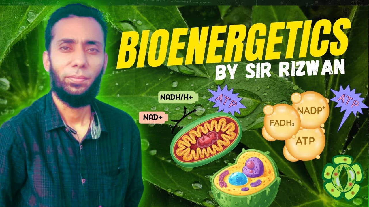 Bioenergetics II Class 11 II Sindh board II Lecture 1
