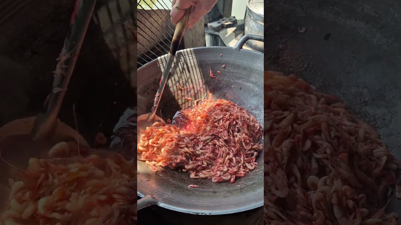 ทำกุ้งแห้งสูตรโบราณกับน้ามณฑาที่สุพรรณบุรี #กุ้งแห้ง #วิถีชีวิต