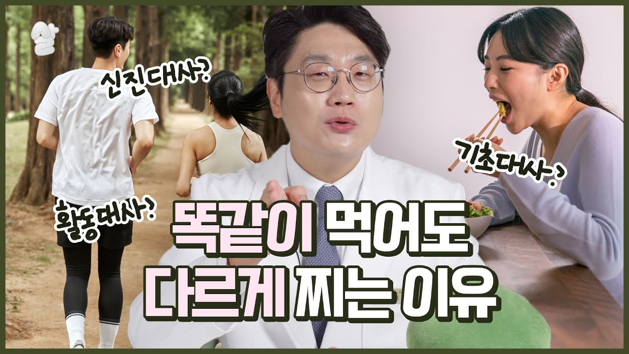 신진대사가 좋은 사람은 살이 잘 안찐다? ( 신진대사를 좋게 하는 법? )