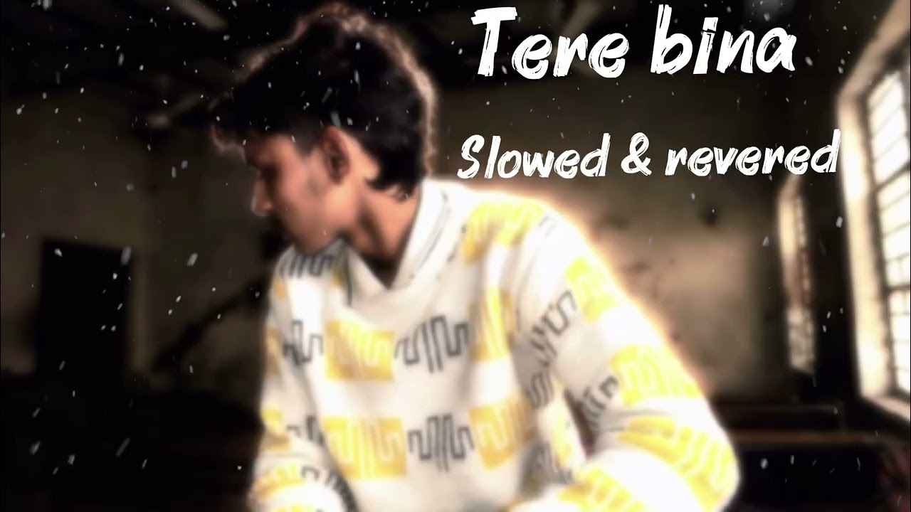 Teri bina lo fi song ❤️‍🩹🥺🎵 #lofi #love #sadlove #lofimusic #terebina #terebinasong 