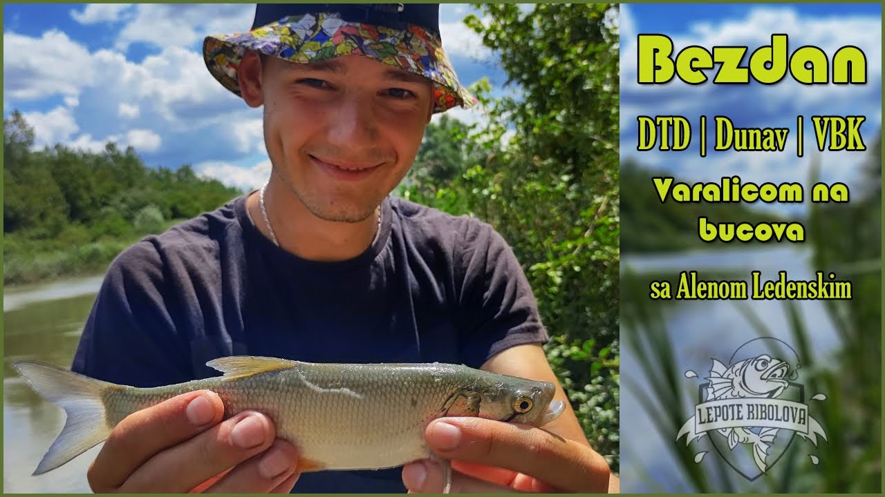 Lepote Ribolova ep. 7 - Varalicom na bucova i ulov na svakoj vodi - Bezdan | DTD, Dunav i VBK