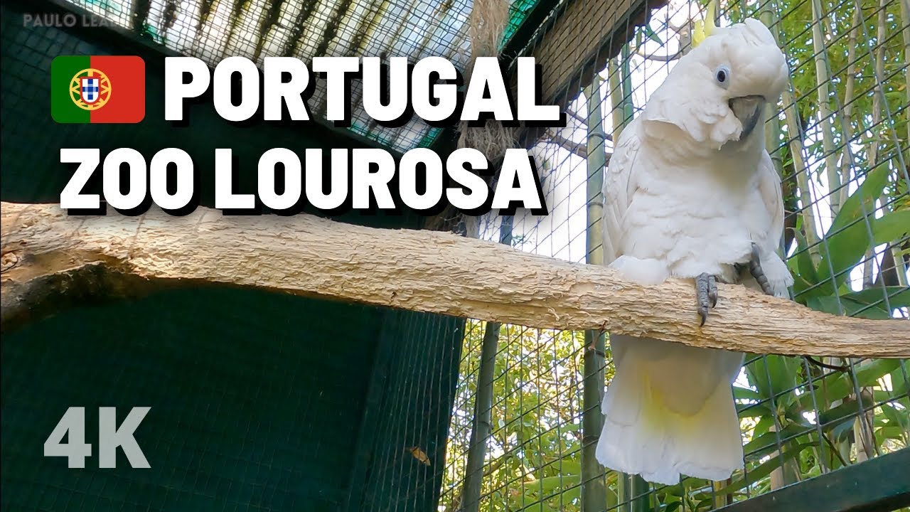 ZOO DE LOUROSA | PORTUGAL [4K]