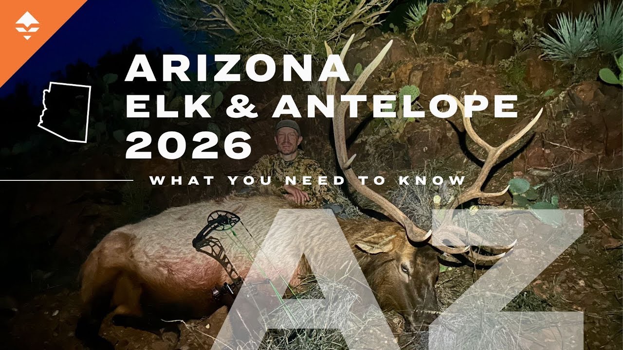 Arizona Elk & Antelope Application Insights About The Draw | Watch Before You Apply