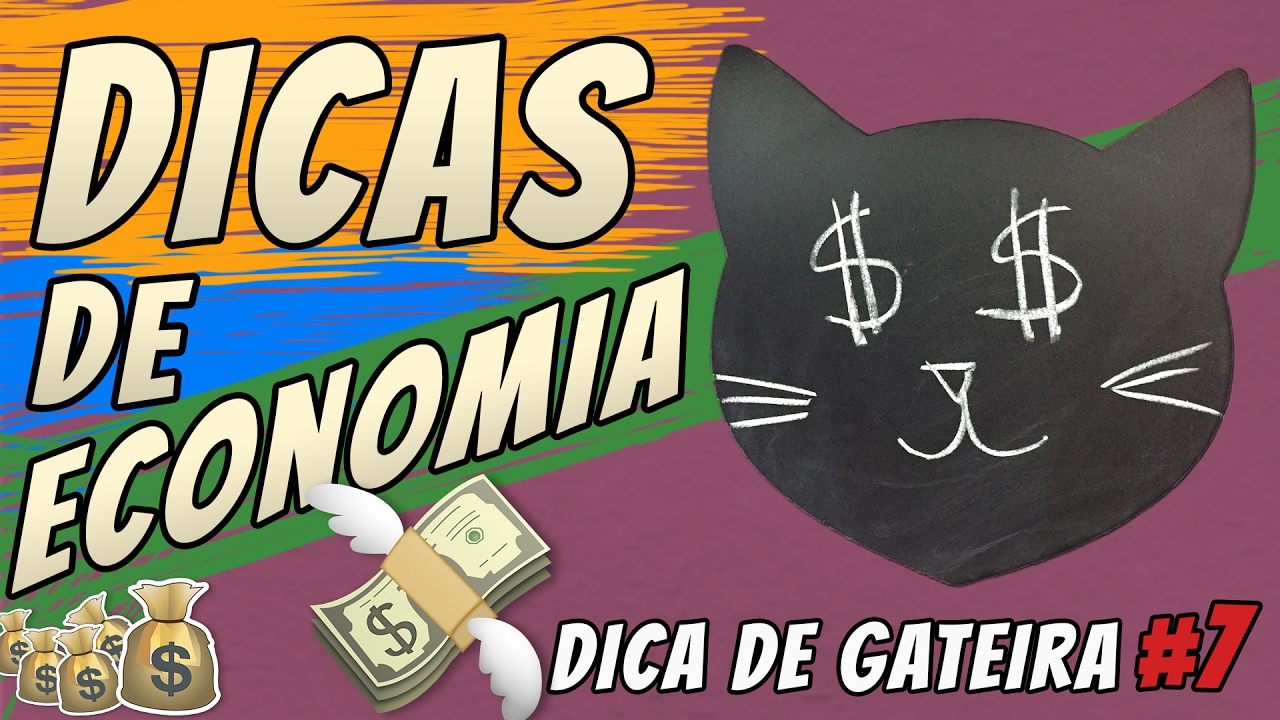 Como gastar menos com o seu Gato? | DICA DE GATEIRA #7