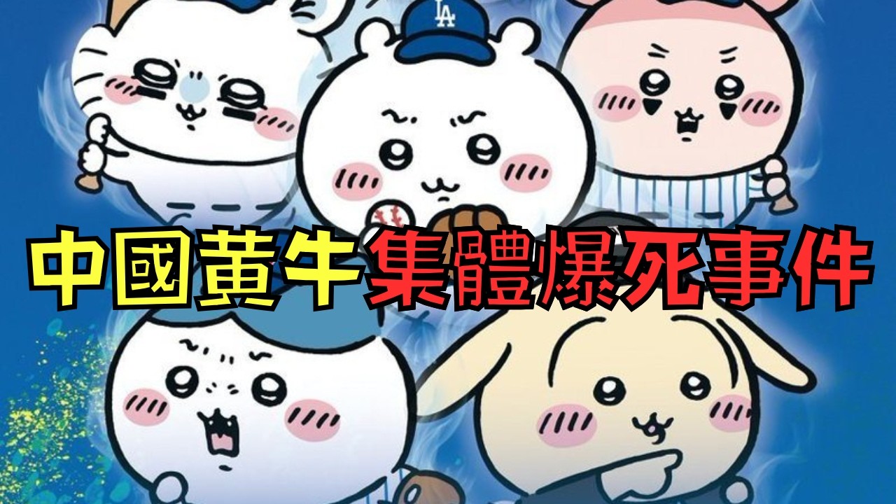 中國黃牛炒賣吉伊卡哇，官方出手制裁直接爆死！網友：「太爽了！」｜叉雞