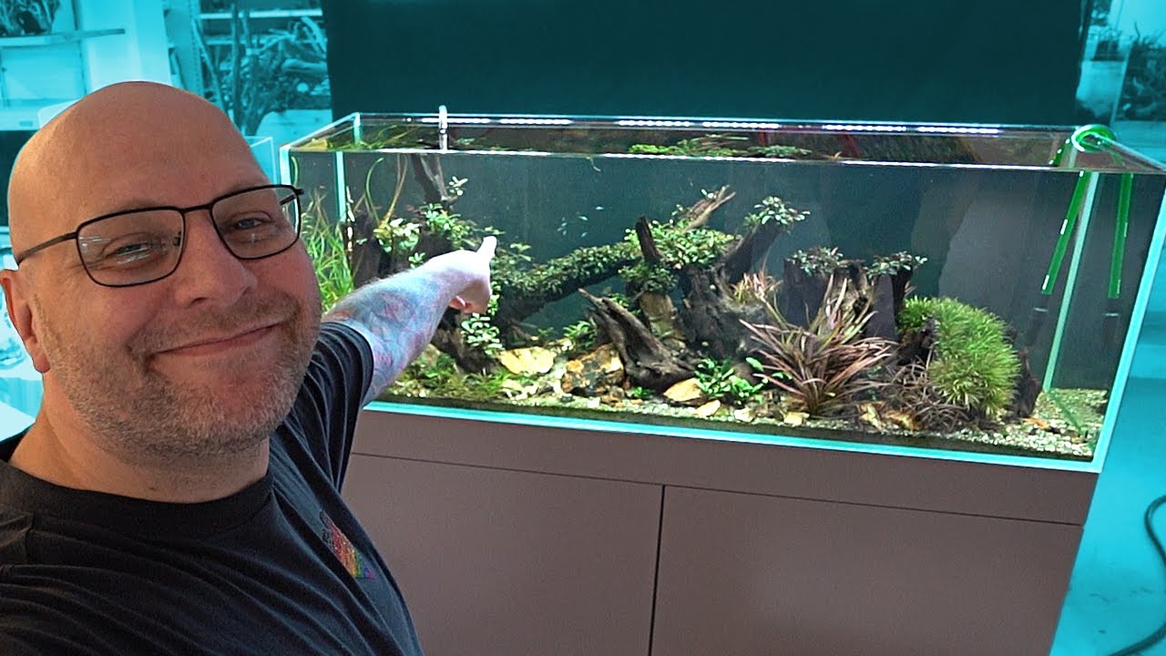 Rescape 500 Liter Bucephalandra Aquarium