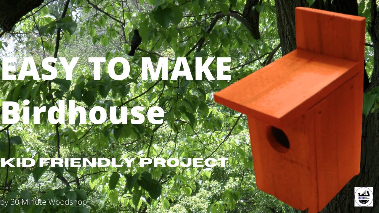 DIY Easy to Make Bird House - Kid Friendly with Plans