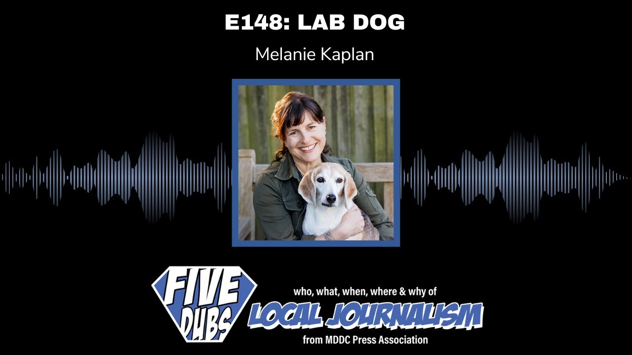 E148: Lab Dog