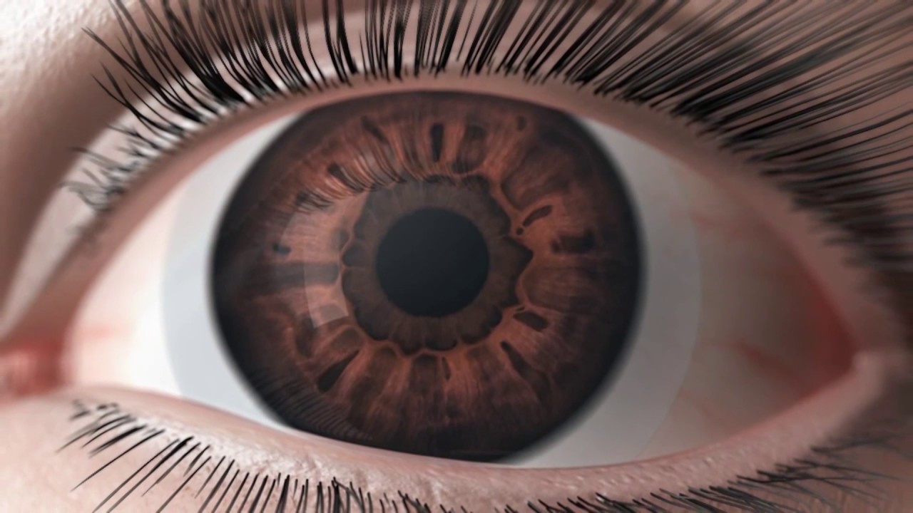 Bausch + Lomb Biotrue ONEday - HyperGel lens material