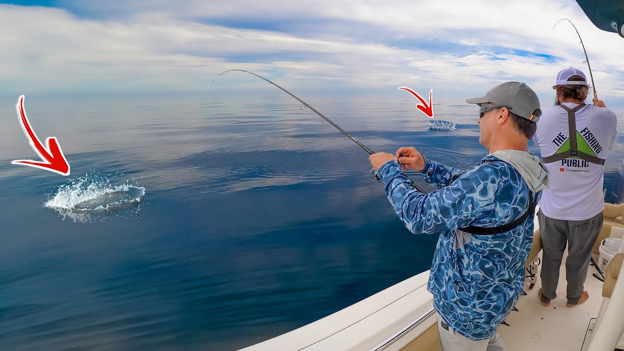 CRAZIEST Feeding Frenzy 15 Miles Offshore - Giant after Giant!