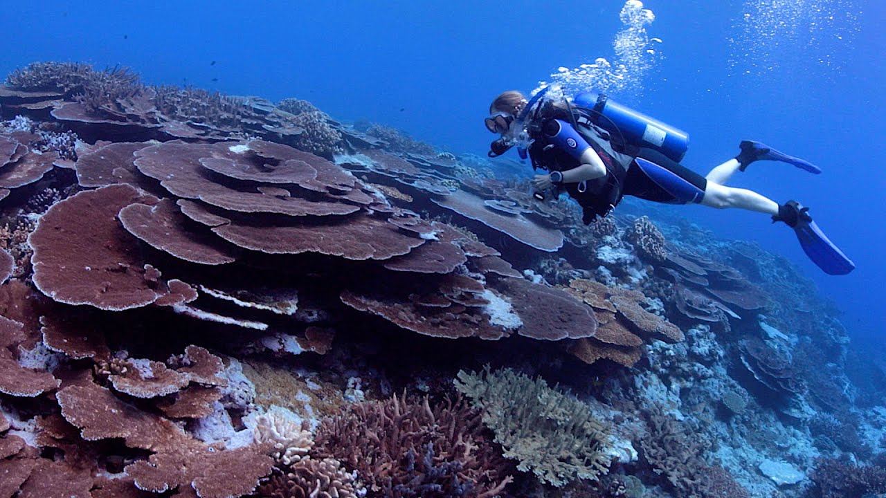 Fagatele Bay - National Marine Sanctuary of American Samoa