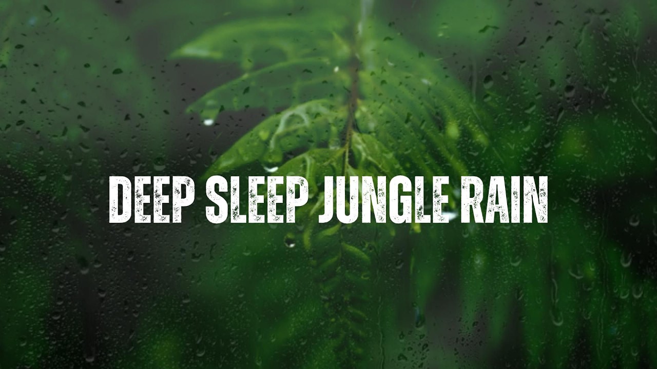 🌧️ Deep Sleep Jungle Rain | ASMR Nature Sounds for Relaxing