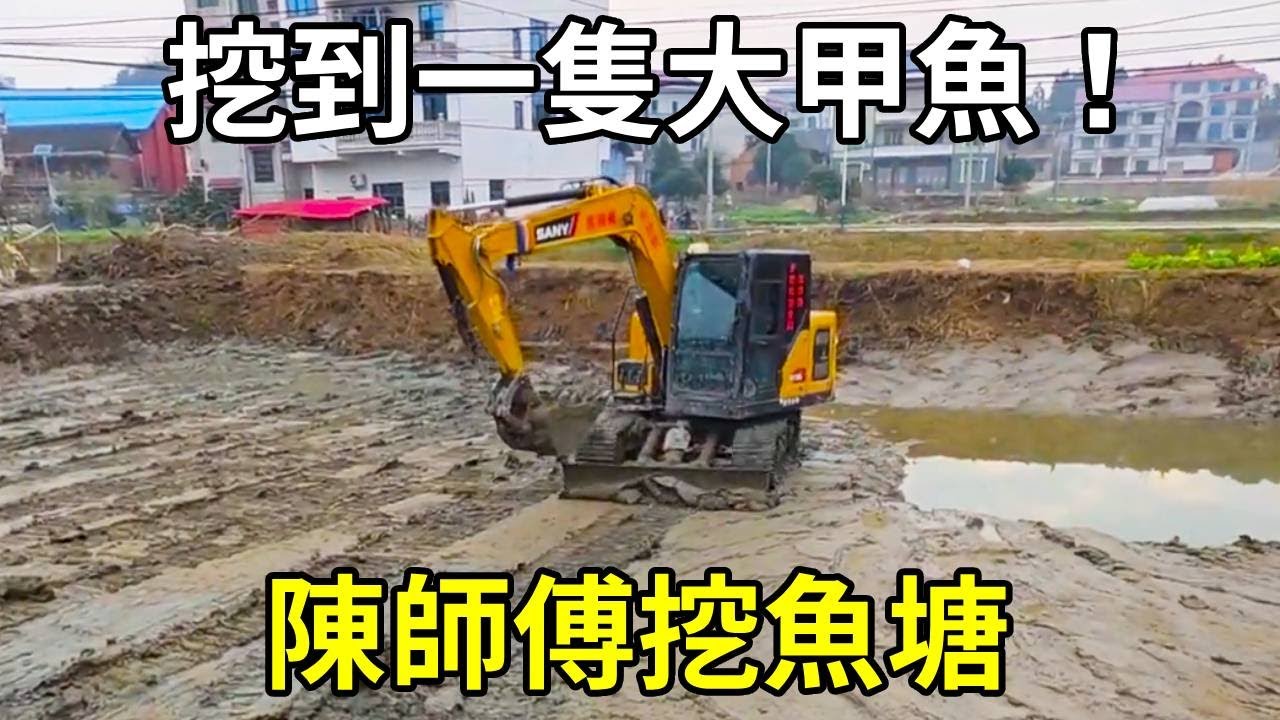 陳師傅挖魚塘，只挖漏水魚塘，挖到一隻大甲魚！ 【陳師傅開挖機】