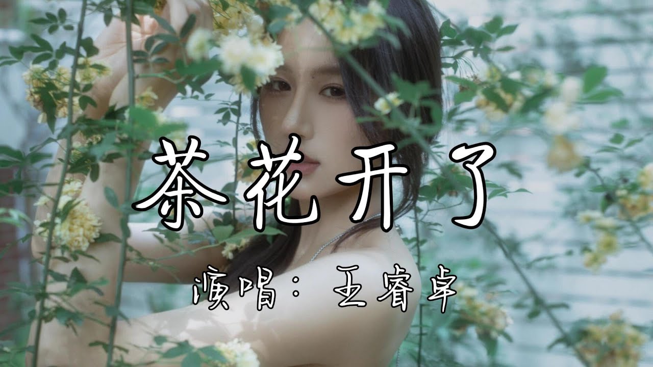 王睿卓 - 茶花开了『外婆啊 我梦见你说我 说我在外头要好好吃饭，外婆啊 我知道你想我了 我会回去陪你去采茶。』『动态歌词MV』