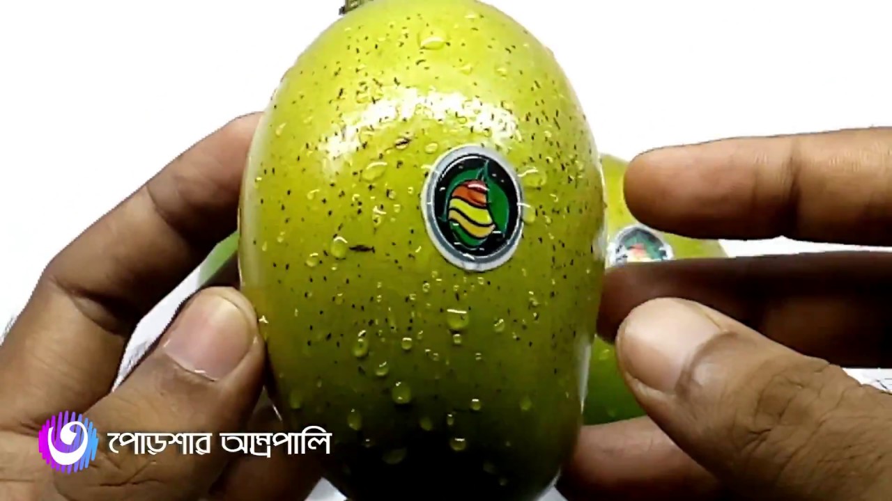 বাংলাদেশের সেরা ১০ আম ।। Top 10 Mango in Bangladesh