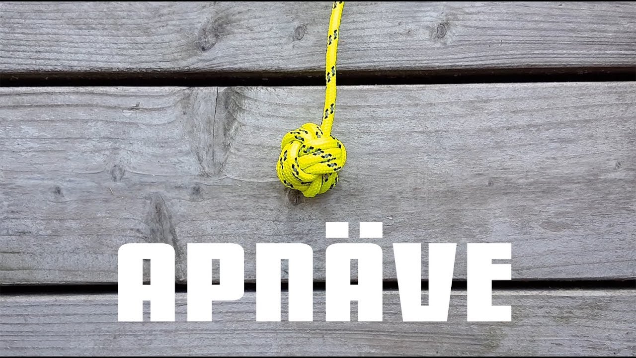 Knep och knop - APNÄVE eller APANS NÄVE