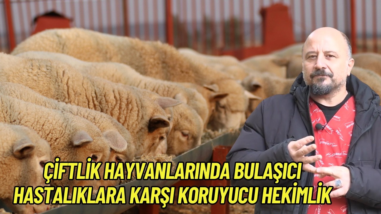 ÇİFTLİK HAYVANLARINDA BULAŞICI HASTALIKLARA KARŞI KORUYUCU HEKİMLİK I HEKİM GÖRÜŞÜ
