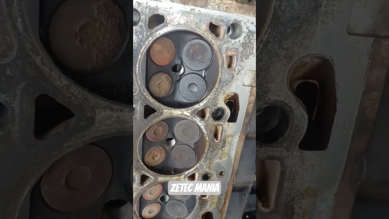 A verdade que n&atilde;o te dizem sobre o Zetec