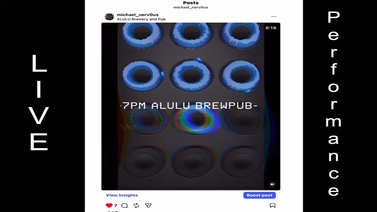 Live Ambient Performance at Chicago's Alulu Brewpub
