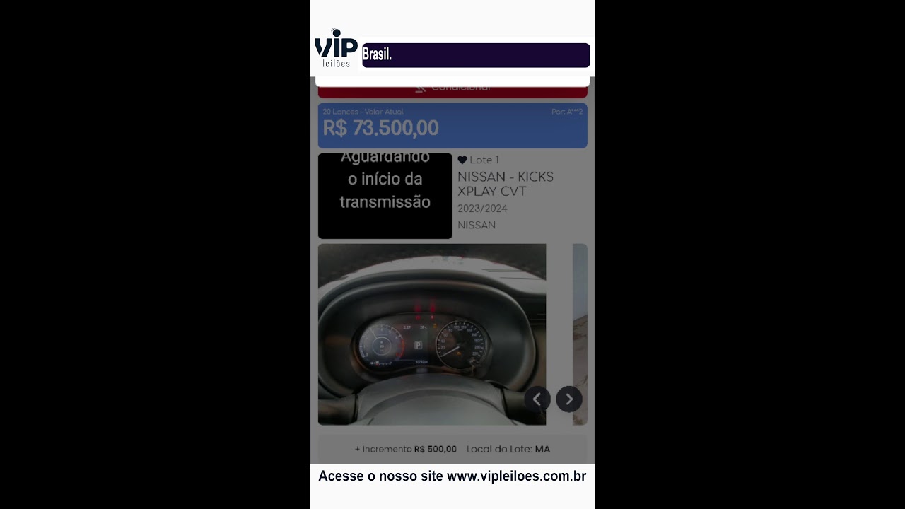 Vip Leilões convidou você
