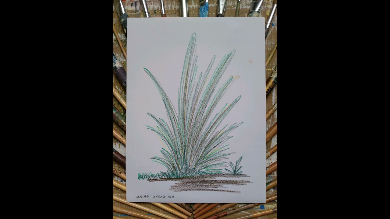 DRY MEDIA #53. BAMBOO SET and GROW. Color pencil on Oslo paper.