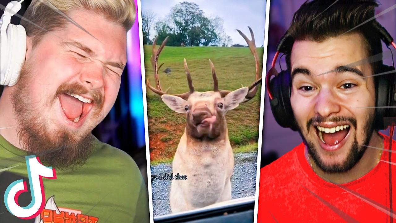 Narrator REACTS To My MOST LIKED TikToks