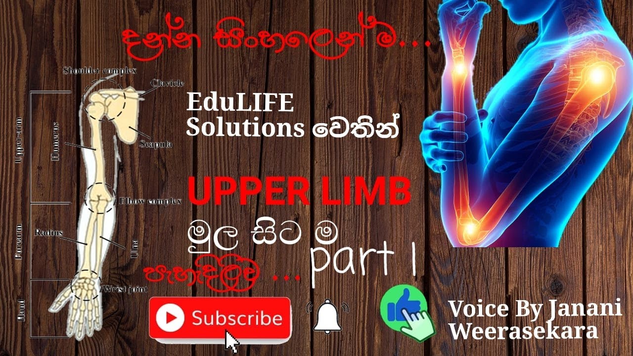 Upper Limb Regions Pectoral Region and Scapular Region -With 3D Anatomy Tutorial PART 01 in Sinhala