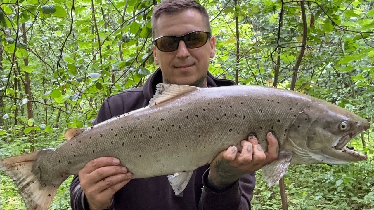 Troć 86 cm Parsęta 2025