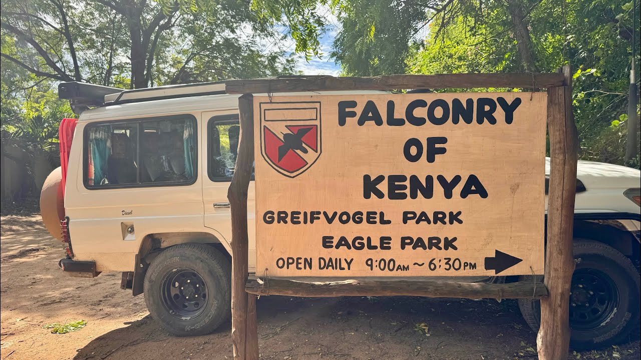 May 1st ‘24 Malindi Falconry of Kenya Eagle Park Day Trip #snakes #crocodiles #eagles #falconry