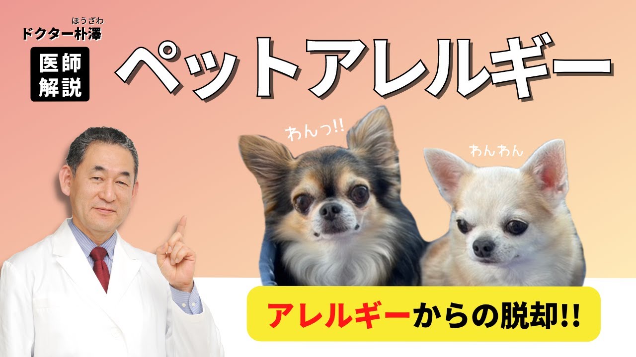 【医師解説】ペットアレルギーからの脱却！
