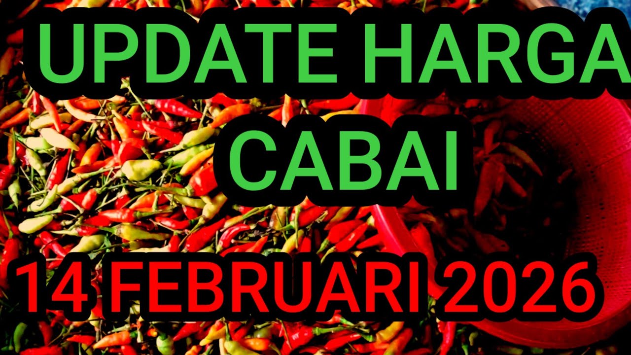 Update harga cabe rawit hari ini 14 Februari 2026 di pasar induk pare kediri jawa timur 