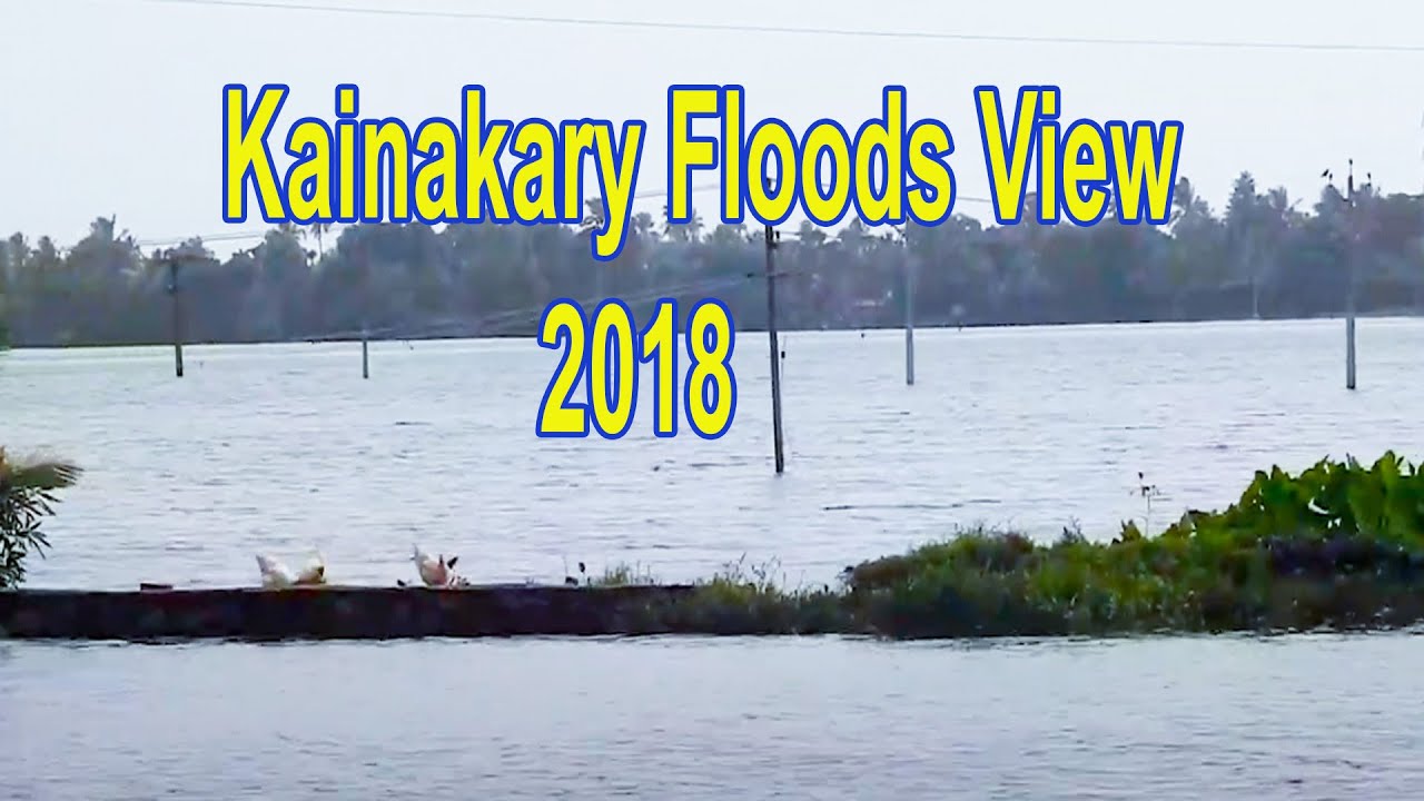 Kainakary Floods View In 2018  [ Alappuzha, Kerala, India ]