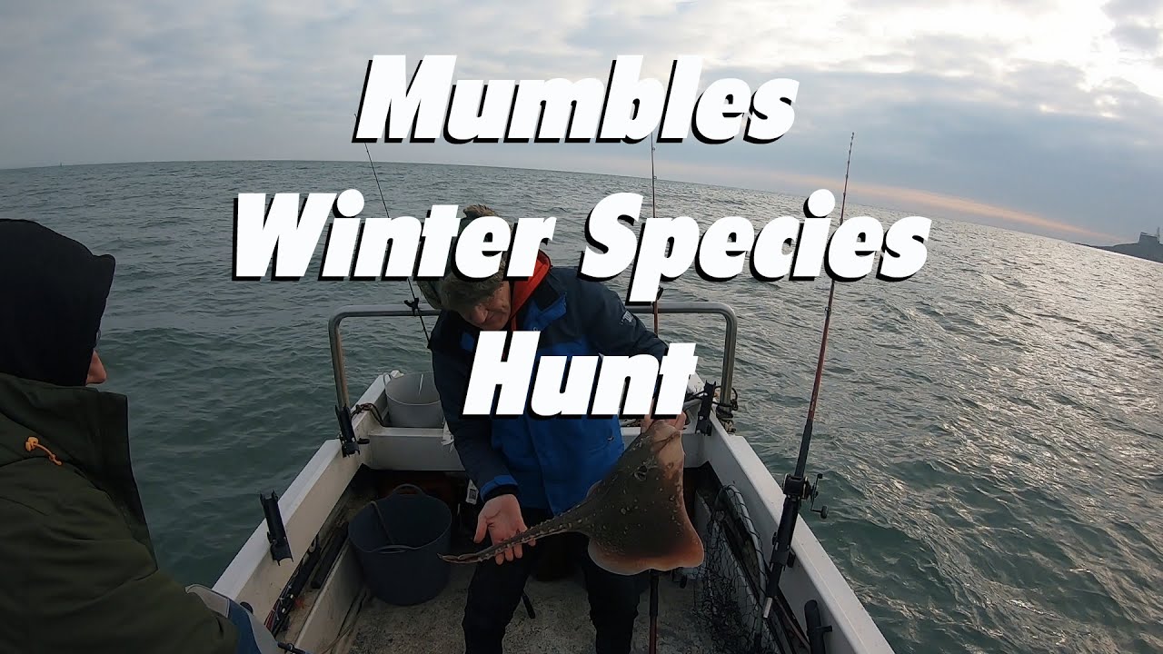 Mumbles winter species hunt