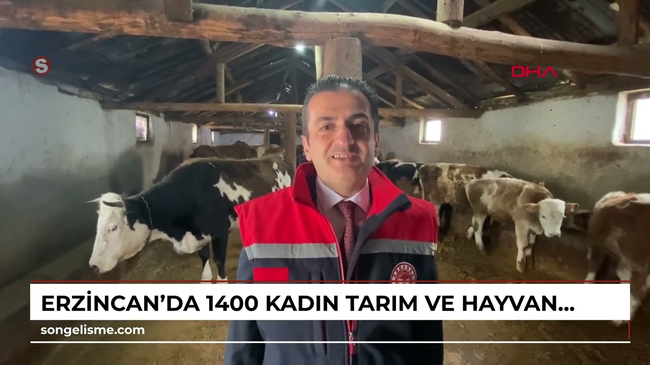 Erzincan'da 1400 kadın tarım ve hayvancılık yapıyor