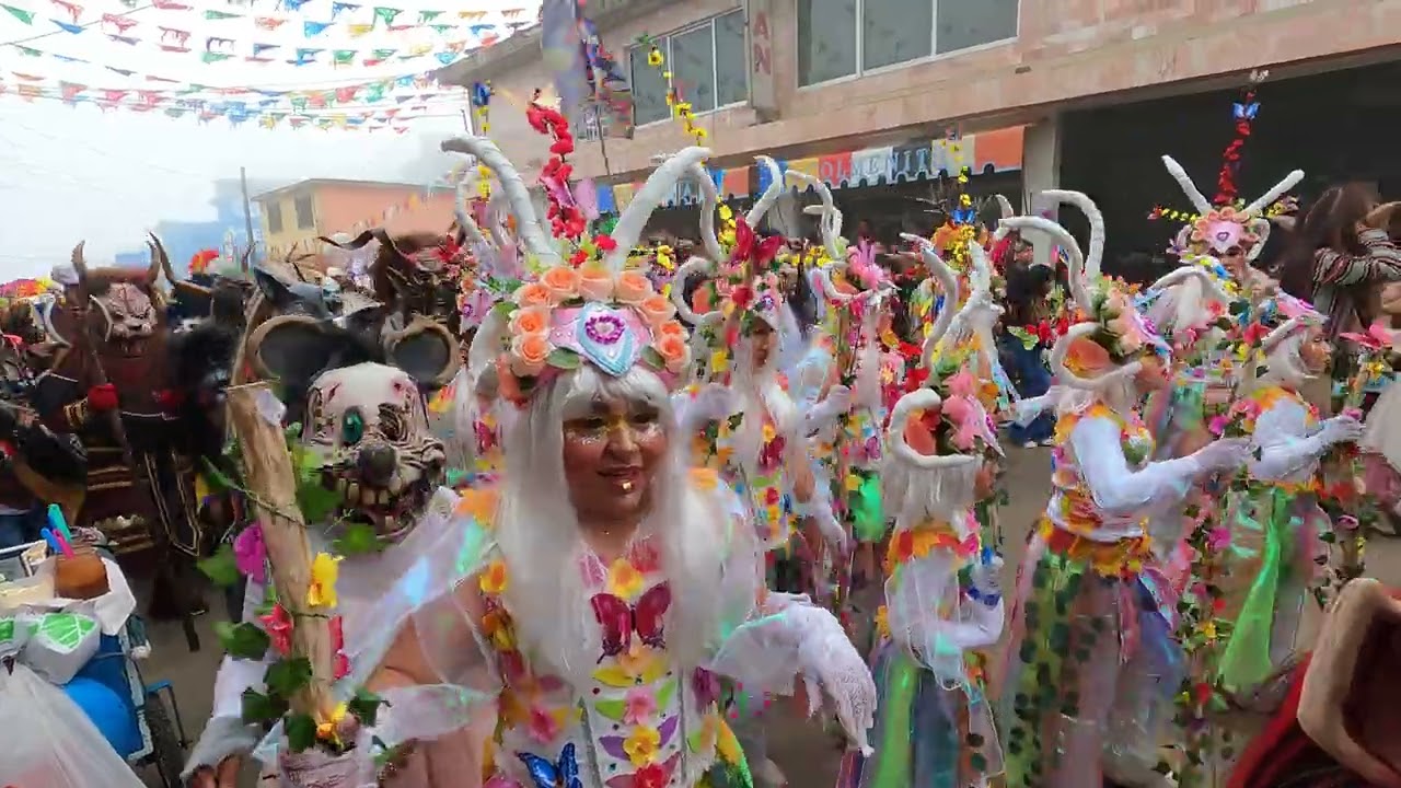 CARNAVAL HUAYACOCOTLA 2026 - LOS SABINOS