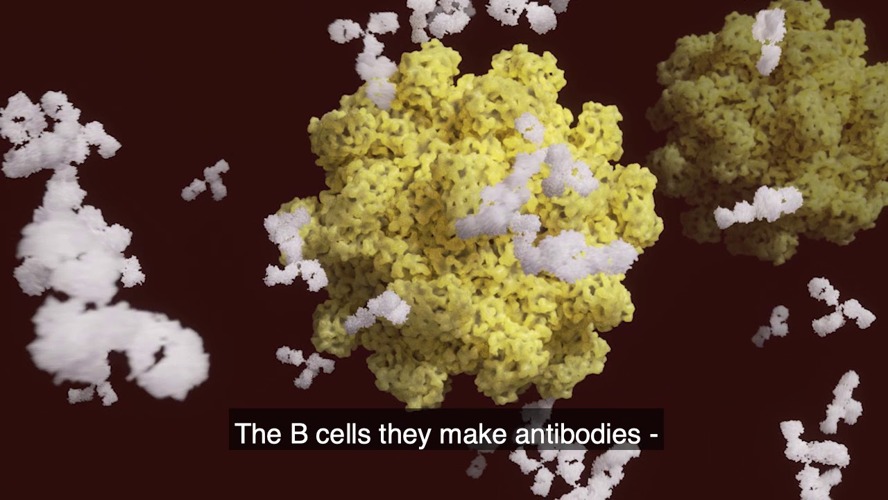 Are you immune after a Covid-19 infection?