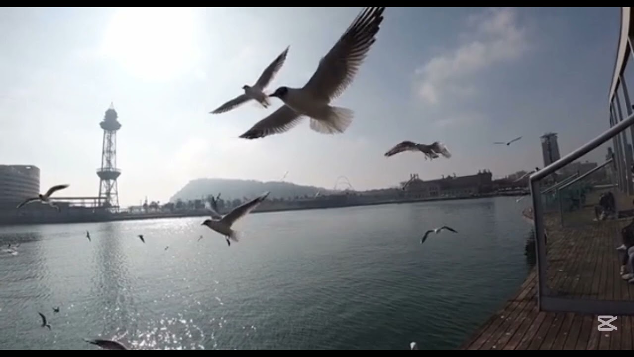 Айналайын (cover)