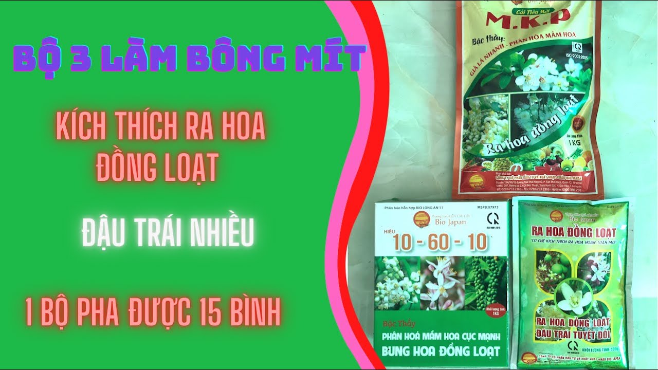 Bộ l&agrave;m b&ocirc;ng m&iacute;t th&aacute;i | Đại l&yacute; Phương Kh&aacute;nh | Quả cầu lửa
