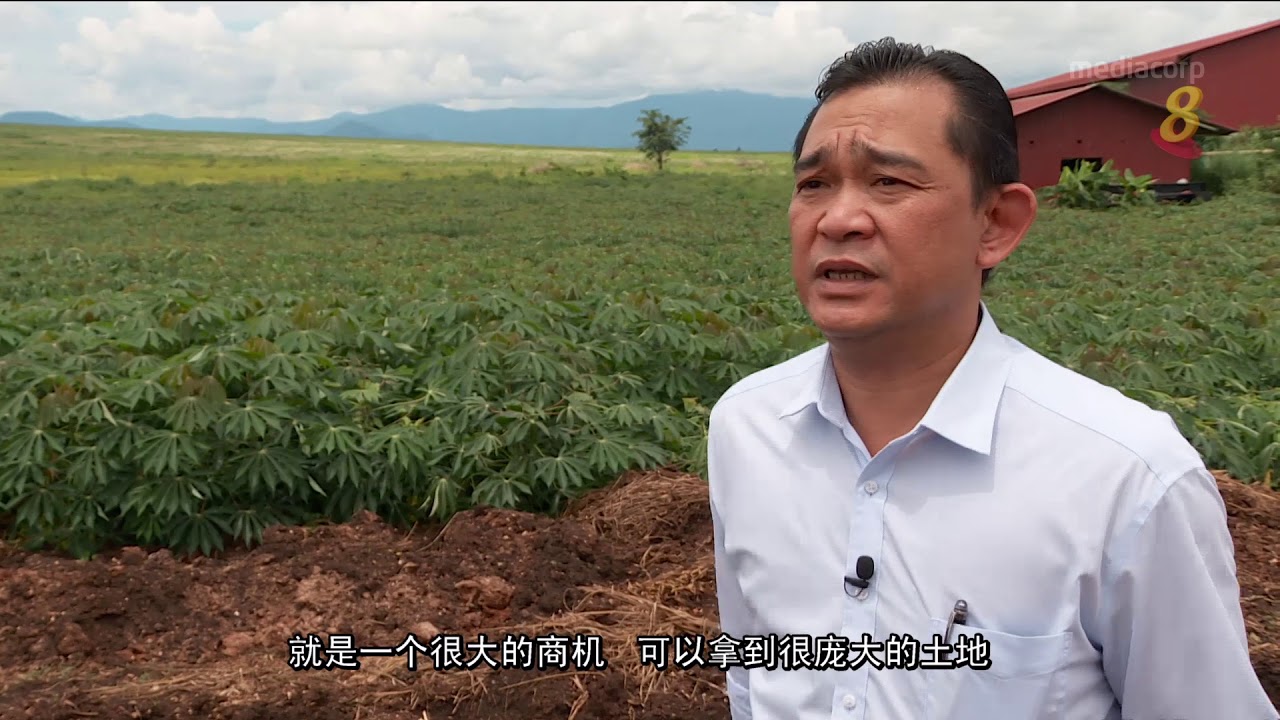 新加坡企业 开垦柬埔寨农地